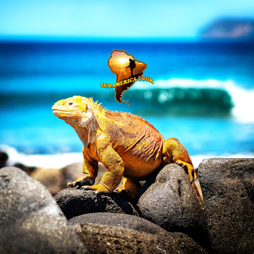 Ecuador y Galápagos Tour 19 días