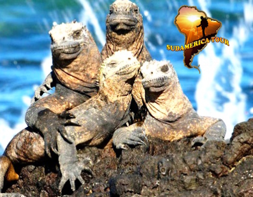 Tour Perú + Galápagos 18 Días Amarilis