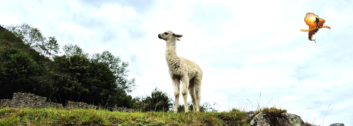 Perú: Naturaleza y Cultura Tour 17 días