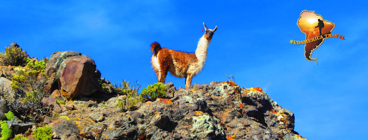 Travel Bolivia Chile Nature