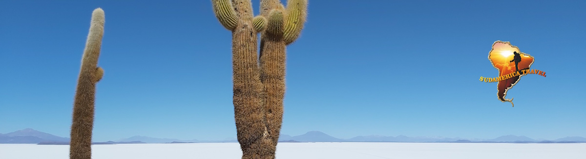 South America: Climate and Flights