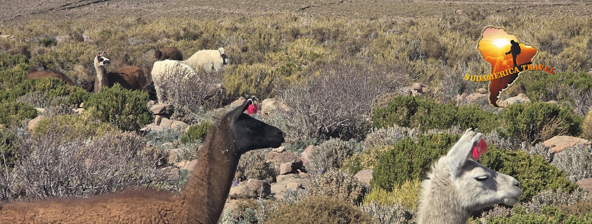 Trekking Peru 21 dni