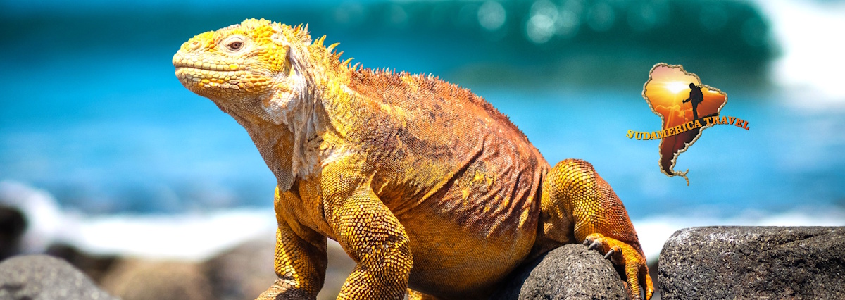Wycieczka do Ekwadoru i Galapagos 10 dni